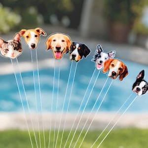 May include: A collection of seven custom acrylic cake toppers, each featuring a high-resolution printed portrait of a different pet face, including various dog breeds and a cat, attached to long, clear, slender transparent acrylic sticks.