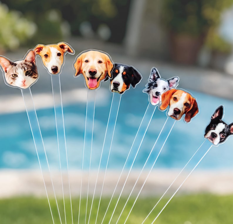 May include: A collection of seven custom acrylic cake toppers, each featuring a high-resolution printed portrait of a different pet face, including various dog breeds and a cat, attached to long, clear, slender transparent acrylic sticks.