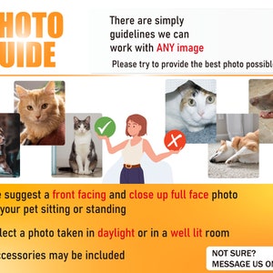 May include: An informational photo guide for pet portraits featuring the text PHOTO GUIDE, instructions for selecting images, and examples of acceptable and unacceptable pet photos including cats and dogs, with a central illustration of a person.