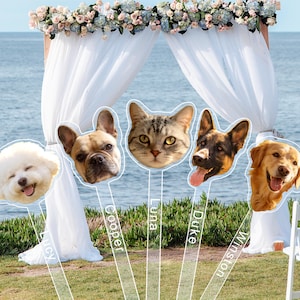 May include: Five custom photo props featuring the faces of pets named Lucy, Cooper, Luna, Duke, and Winston. Each prop is mounted on a clear stick with the pet's name printed vertically in white text, showcasing a variety of dog and cat breeds.