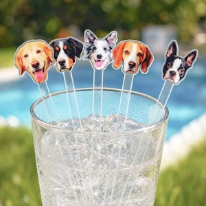 May include: Five clear acrylic drink stirrers, each topped with a different dog breed face illustration, including a golden retriever, a tri-color dog, a merle dog, a beagle, and a Boston terrier, all placed inside a glass filled with ice cubes.