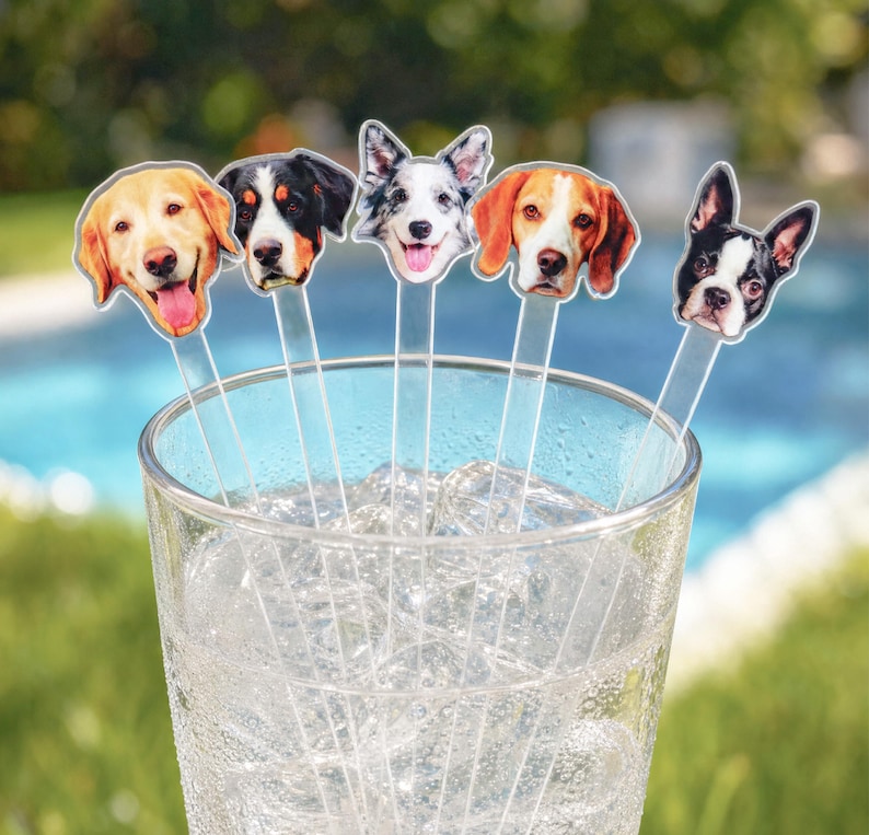 May include: Five clear acrylic drink stirrers, each topped with a different dog breed face illustration, including a golden retriever, a tri-color dog, a merle dog, a beagle, and a Boston terrier, all placed inside a glass filled with ice cubes.