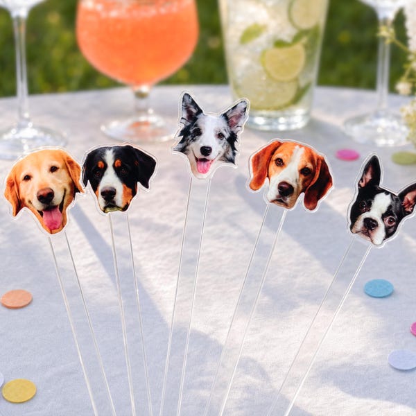 May include: A set of five clear acrylic drink stirrers, each topped with a different dog breed face cutout. The dogs include a golden retriever, a tri-color mountain dog, a border collie, a beagle, and a black and white Boston terrier.