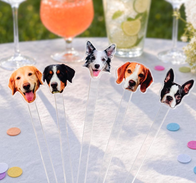 May include: A set of five clear acrylic drink stirrers, each topped with a different dog breed face cutout. The dogs include a golden retriever, a tri-color mountain dog, a border collie, a beagle, and a black and white Boston terrier.