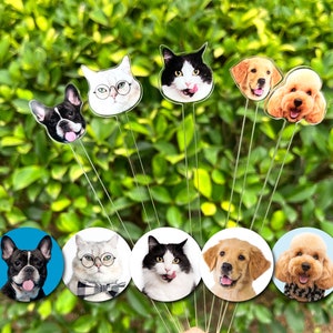 May include: A collection of five circular pet portraits and five matching pet head cutouts on thin metal stems. The images feature a French Bulldog, a white cat with glasses, a black and white cat, a Golden Retriever, and a curly-haired dog.
