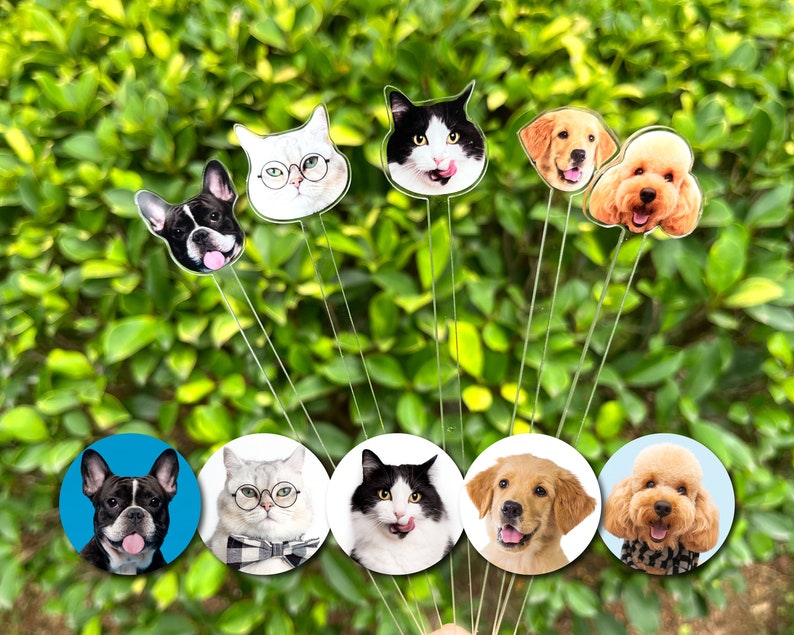 May include: A collection of five circular pet portraits and five matching pet head cutouts on thin metal stems. The images feature a French Bulldog, a white cat with glasses, a black and white cat, a Golden Retriever, and a curly-haired dog.