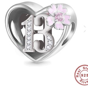 Age 13 pandora charm sale