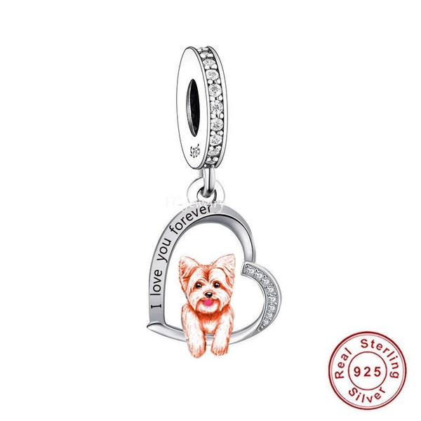 Yorkshire Terrier - collana con un cane su una corda d