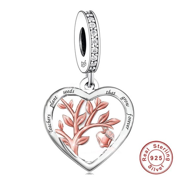 Teachers Plant Seeds That Grow Forever Charm 925 Sterling Silver Gift for a Special Occasion Fits all Charm Bracelets Teacher Appreciation