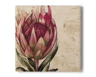 Cape Town South Africa Vintage Protea Floral Ceramic Coaster | Botanical Drink Coaster Souvenir Printed on Coaster or Canvas