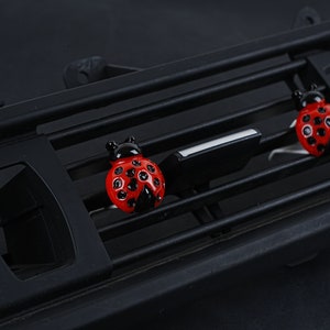 May include: Two red and black ladybug car air freshener ornaments hanging from a black car air vent.
