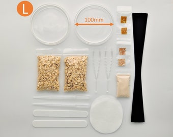 Set L: Slime mold Cultivation Set, Physarum, Badhamia, Blob, Schleimpilz, Gift / Geschenk