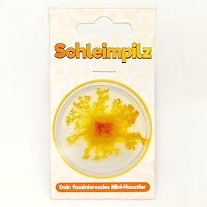 Puede incluir: Una tarjeta blanca con la palabra "Schleimpilz" en letras naranjas. Una placa de Petri transparente contiene un organismo amarillo y naranja. El texto "Dein faszinierendes Mini-Haustier" está impreso en la parte inferior de la tarjeta.