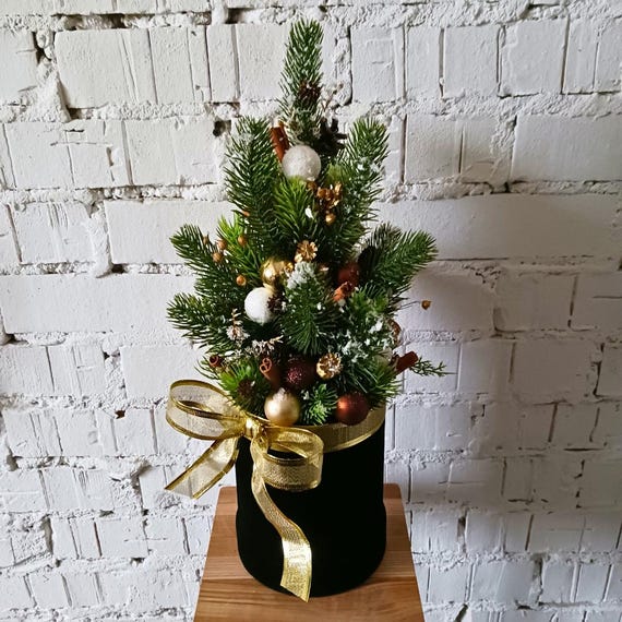 blumenkasten mit sichtschutz holz robinia-pro PFLANZKASTEN mit SICHTSCHUTZ – robinia24 main image 0