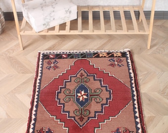 May include: A rectangular area rug featuring a central red diamond medallion on a brown field with blue, green, and white geometric patterns. The rug has a dark border with stylized floral motifs and white fringe along the top and bottom edges.