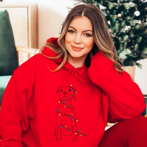 May include: A red hooded sweatshirt with a graphic of a dog with Christmas lights wrapped around it.