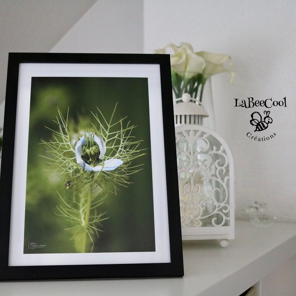 Photographies Flore et Nature Format A4 ou A3