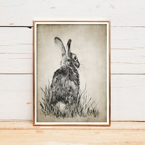 Hasenposter, Hasenzeichnung, Hasenwandkunst, Hasen im Gras, süßes Hasen, Bleistiftzeichnung, Kinderzimmerposter