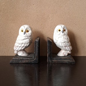 A pair of cute colorful heavy cast iron owl book-ends