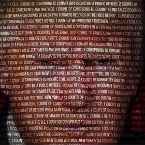TRUMP Charges, Mugshot, printable, .JPG, use for posters, t-shirts, mugs, gifts