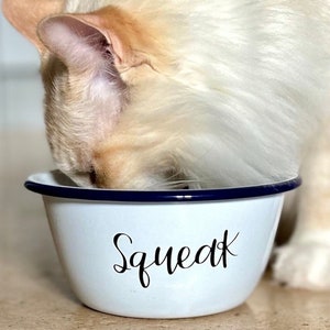 Personalised Pet Bowl. A White Enamel Bowl with Blue Rim. Personalised With Pet’s Name.