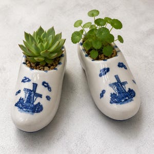 May include: Two white ceramic clogs decorated with blue windmill patterns, each functioning as a planter. One clog holds a green succulent, while the other contains a small green plant with round leaves, both set in brown potting soil.