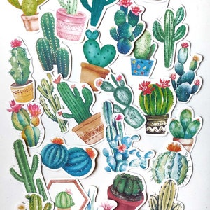 Juego de pegatinas de cactus, pegatinas de cactus para álbumes de recortes, pegatinas para planificadores, pegatinas de cactus para diarios, pegatinas para cuadernos, pegatinas decorativas botánicas