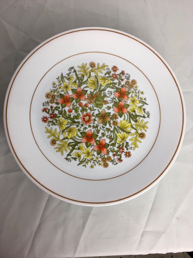 Set of 13 Vintage Corelle Indian Summer 1025 Inch Dinner Plates