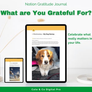 Notion Gratitude Journal, Digital Gratitude Journal, Notion Template, Wellness Journal for iPad, Daily Gratitude Journal