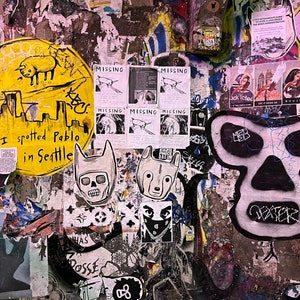 Pikes Market Graffiti