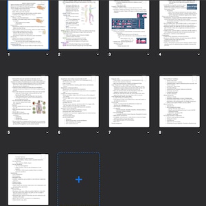 Mobility Spinal Cord Injuries Study Guide