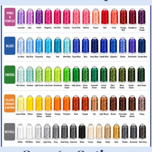 Pu&ograve; includere: Una tabella colori intitolata Thread Color Options! che mostra oltre 60 rocchetti di filo da ricamo organizzati per categorie di colore, tra cui rosa, viola, blu, verdi, gialli, arancioni, marroni e neutri con etichette per ogni tonalit&agrave;.