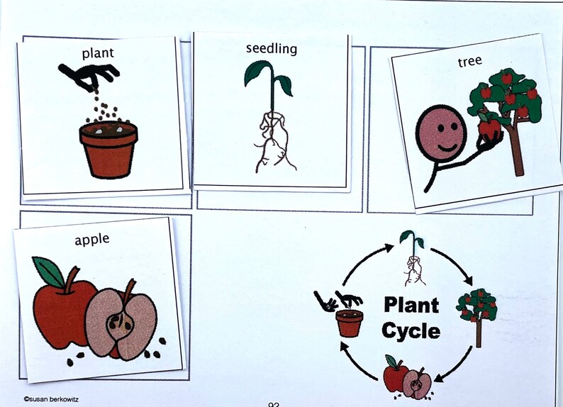 summer-theme-speech-therapy-activities-for-kids-parts-of-speech