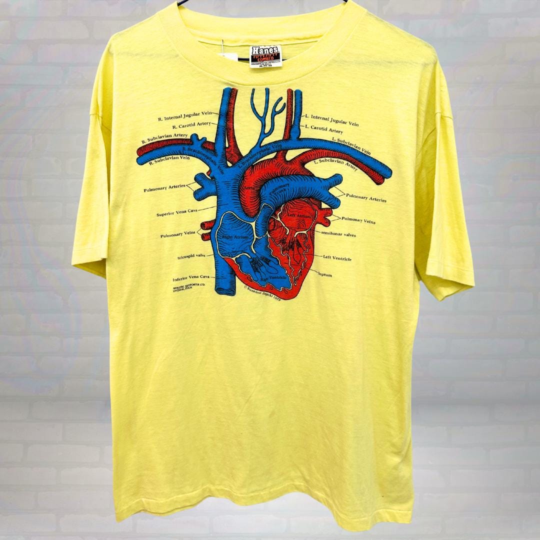Vintage 70s Heart Anatomy T-shirt Science Graphic Tee Medical Diagram ...