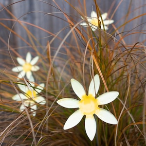 Könnte beinhalten: Nahaufnahme einer Metall-Gänseblümchen-Dekoration mit gelber Mitte und weißen Blütenblättern. Die Blume ist an einem dünnen Metallstiel befestigt und von braunem Gras umgeben.