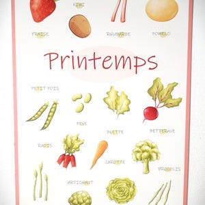 Carte de fruits et légumes du printemps