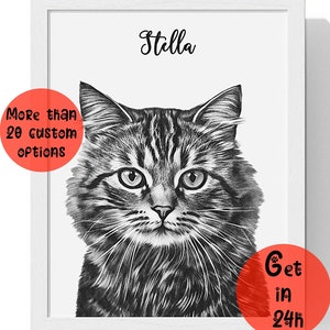 Sketched cat Pet sketch from photo Digital hand drawn custom pet portrait Black and white pet sketch Pet sympathy gift Pet lover gift