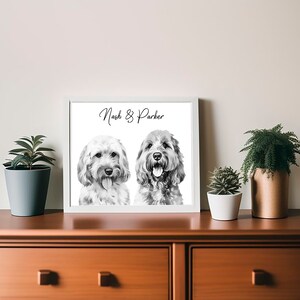 May include: Black and white portrait of two dogs, Nash and Parker, with a white background.