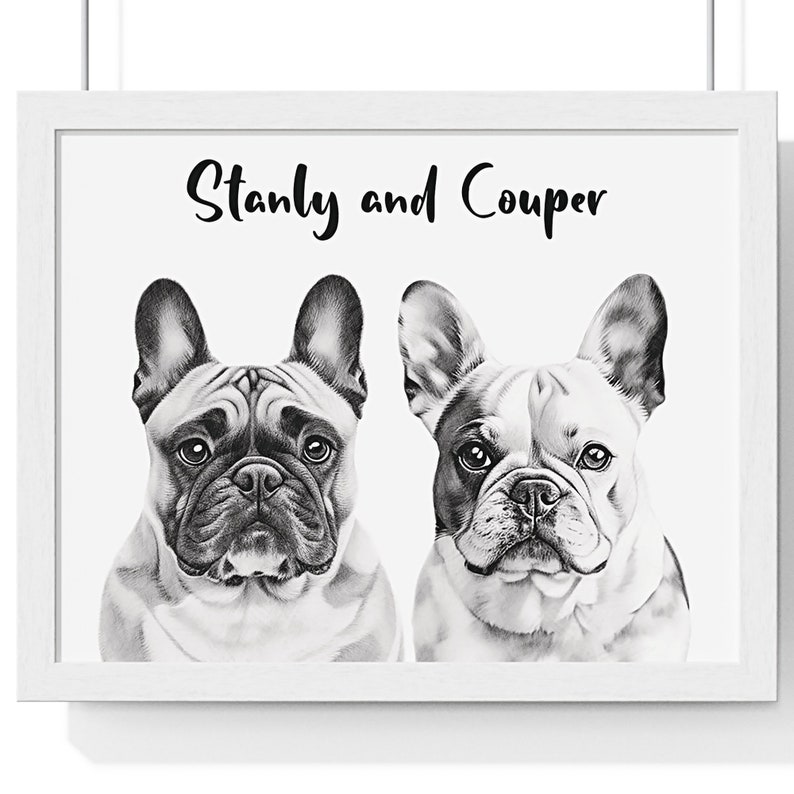 May include: Black and white drawing of two French Bulldogs named Stanley and Cooper. The dogs are looking directly at the viewer.