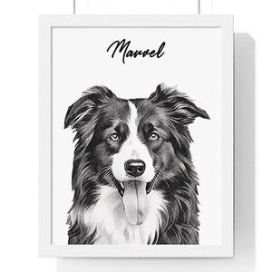 May include: Black and white pencil drawing of a Border Collie dog with its tongue sticking out. The dog's name, "Marvel", is written above the dog in black.