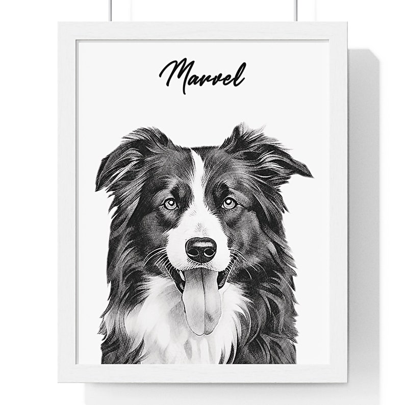 May include: Black and white pencil drawing of a Border Collie dog with its tongue sticking out. The dog's name, "Marvel", is written above the dog in black.