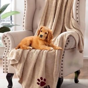 May include: A beige plush throw blanket with a brown paw print and the name "COOPER" embroidered on it. A golden retriever puppy is sitting on a cream-colored armchair with the blanket draped over it.