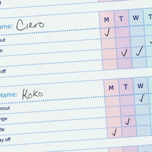 Barn Management - Barn Weekly Planner - Horse Schedule Downloadable PDF