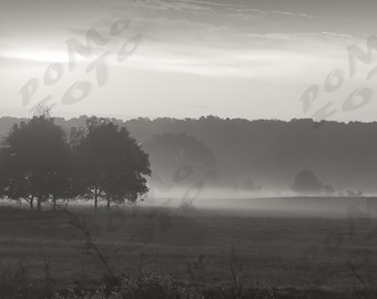 Morning Fog Black and White Photo Art: Wall Art Home Decor landscape Photography