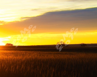 INSTANT DOWNLOAD - Monday Morning Sunrise in North Central Kansas - Inspirational or Religious Prairie Fields