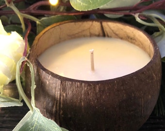 Coconut shell candle