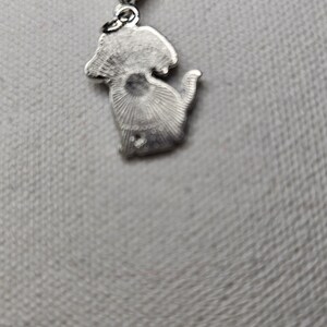 Pu&ograve; includere: Ciondolo in argento con un designo dettagliato di un cane seduto. Il ciondolo ha una chiusura a moschettone.