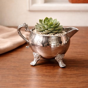 Può includere: Una piccola lattiera color argento riutilizzata come fioriera, contenente una succulenta verde. La lattiera ha un manico, un beccuccio e poggia su tre piedini decorati. La succulenta è circondata da piccoli ciottoli chiari.