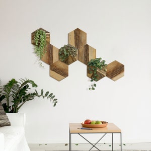 3 sechseckige Wandpflanzgefäße + 5 Wandfliesen. Sechseckiger & modularer vertikaler Garten. Handarbeit aus Keramik und Holz. Einzigartige und nachhaltige Geschenke.