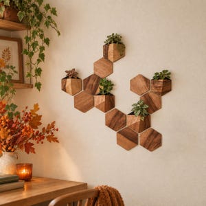 Può includere: Un espositore da parete composto da diverse piastrelle esagonali in legno disposte a grappolo. Alcune di queste unità geometriche in legno fungono da fioriere, contenenti ciascuna una piccola pianta verde. Il legno presenta una venatura marrone naturale.